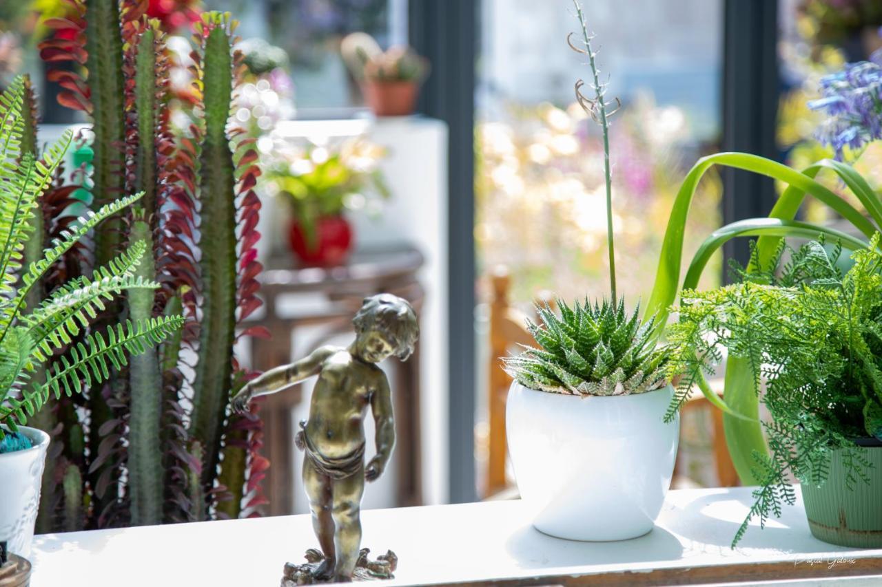 Villa Marguerite 65 Rue Legout Lesage 76260 Ponts Et Marais Екстериор снимка